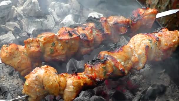 Cooking pork shashlik — Stock Video