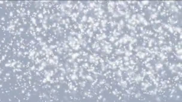 Schneefall im Winter — Stockvideo