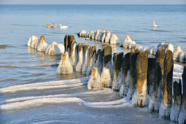 Inverno Mar Baltico — Foto Stock