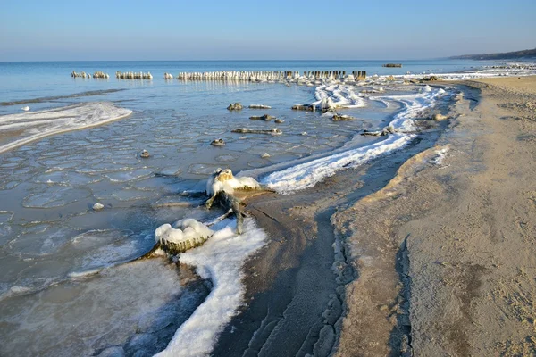 冬のバルト海 — ストック写真