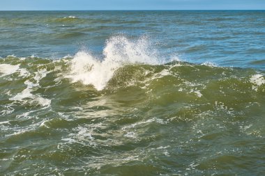 Baltık deniz dalgaları