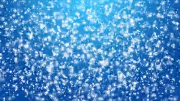 Chute de neige hivernale — Video