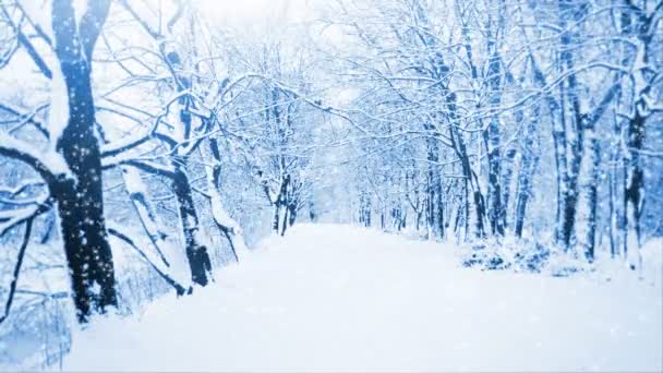 落雪 — 图库视频影像