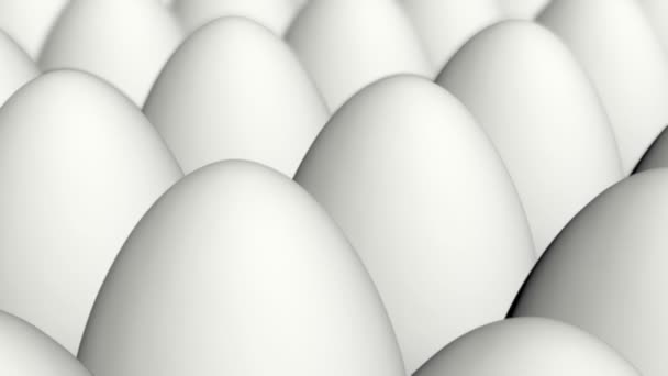 Animation des oeufs 