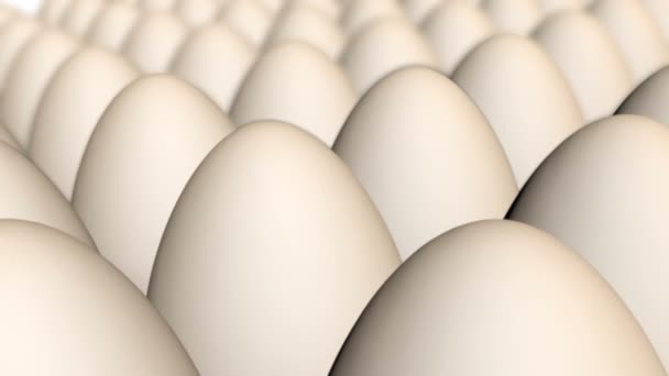 Animation des oeufs 
