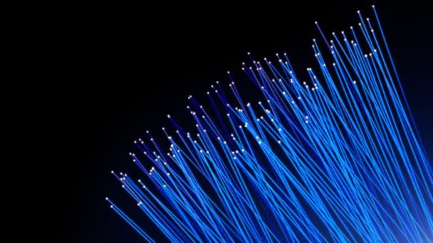 Optical fiber — Stock Video