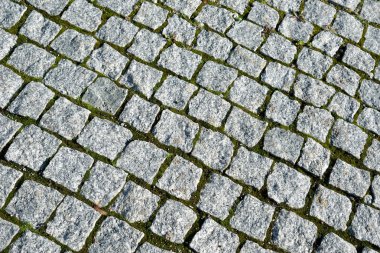 moss ile parke taşı döşemesi