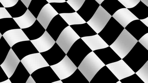 Checkered Racing Flag — Stock Video