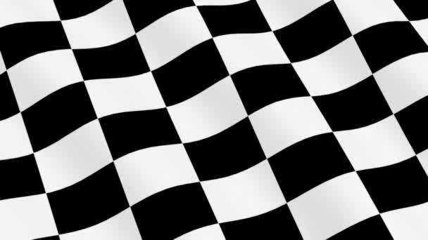 Geruite vlag racing — Stockvideo