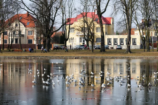 Embankment of Lake en Kaliningrado — Foto de Stock