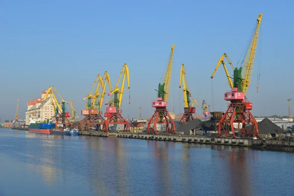 Ruské vysoké lodi Kruzenshtern v rybářského přístavu. Kaliningrad — Stock fotografie
