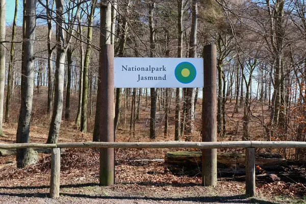 Bukowego lasu Jasmund National Park na wyspie Rugia. Niemcy — Zdjęcie stockowe