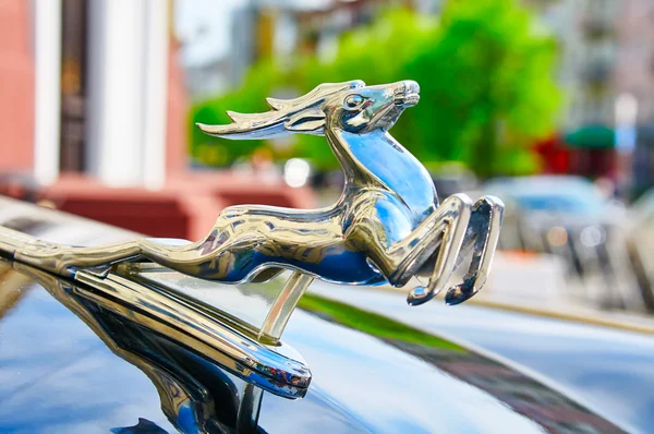 Hirsch auf der Motorhaube des sowjetischen Retro-Autos gaz-21 volga — Stockfoto