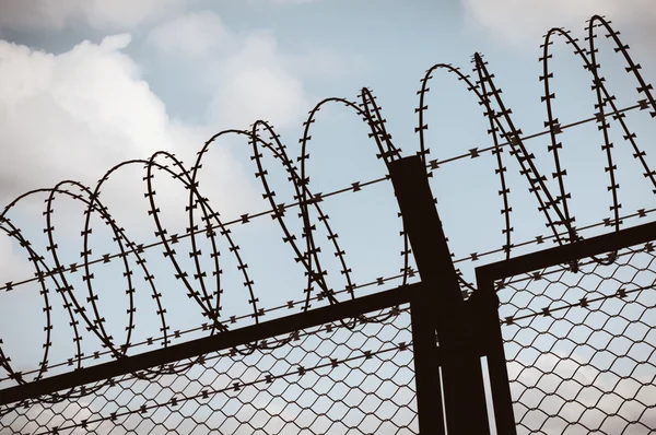 Fence with a barbed wire — Stock Photo, Image