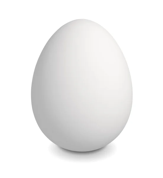 Close up of white egg isolated, with clipping path — Stock Photo, Image