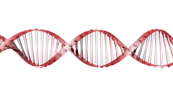 Спіраль ДНК скла — стокове відео
