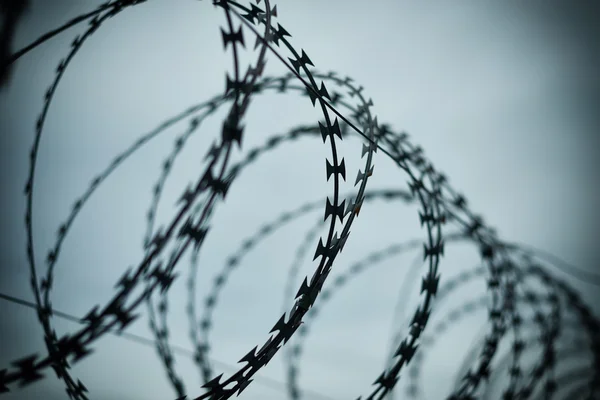 Barbed wire — Stock Photo, Image