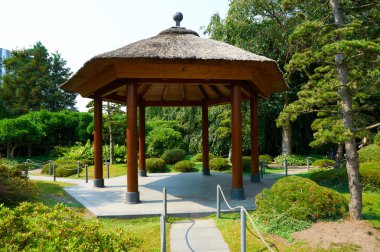Japon bahçe Planten BM, Blomen park. Hamburg