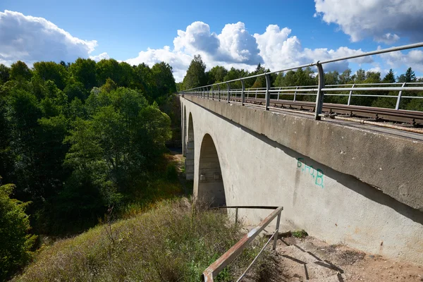 Ponte ferroviario a Tokarevka. Regione di Kaliningrad — Foto Stock