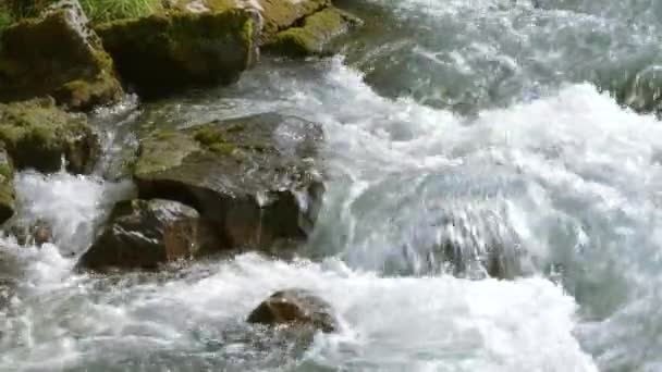 Río Montaña Los Fiordos Noruegos Fluyendo Entre Las Rocas Creando — Vídeo de stock