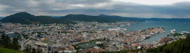 Norveç fiyortlarının başkenti Bergen şehri panoraması, bir dağ üzerindeki doğal parktan kentsel manzara