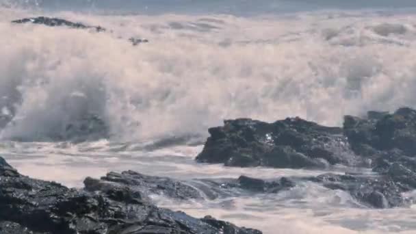 Olas Del Océano Chocan Contra Las Rocas Atardecer Día Soleado — Vídeos de Stock