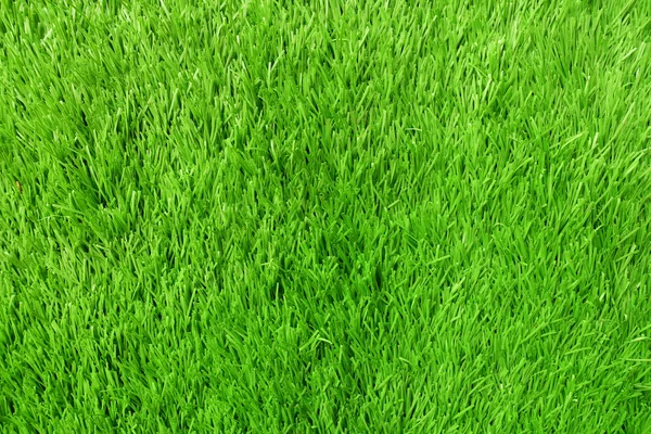 Texture of Artificial Grass Field — Stock Photo, Image