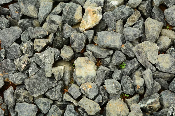 Textura de piedra en el suelo —  Fotos de Stock