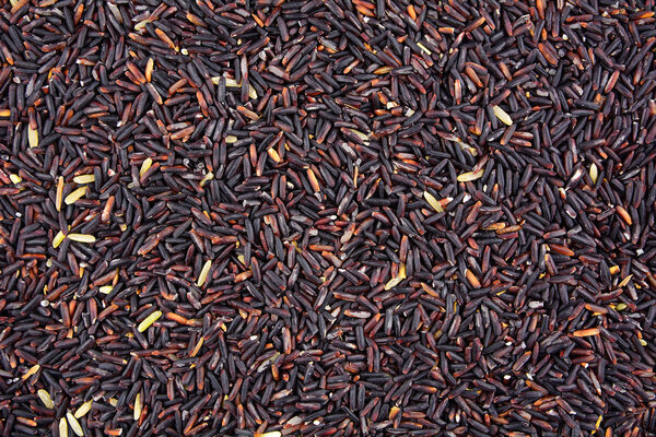 Texture of raw purple Riceberry rice
