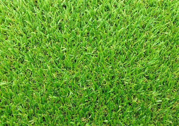 Close up of green grass background — Stock Photo, Image