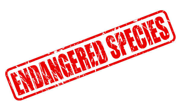 ОСНОВНЫЕ СПЕЦИИ текст с красной маркой
