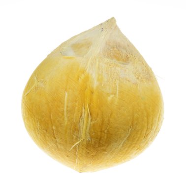 Beyaz izole Hindistan cevizi yakın çekim