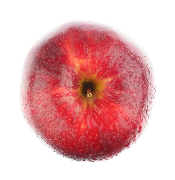 Vue du dessus de pomme rouge sur blanc — Photo