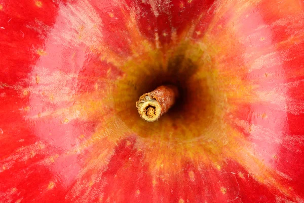 Macro vue du dessus de pomme rouge — Photo