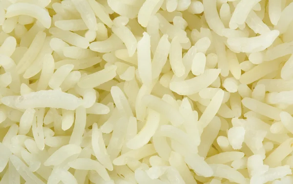 Nahaufnahme von gekochtem Reis — Stockfoto