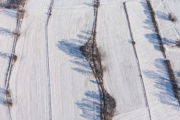 Skörden fält i vinter — Stockfoto