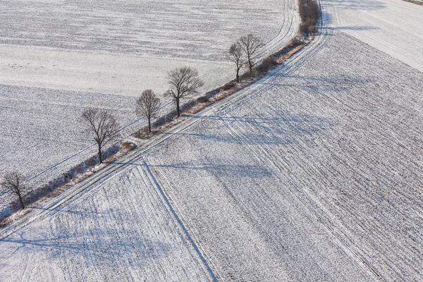 Bovenaanzicht van de oogstvelden — Stockfoto