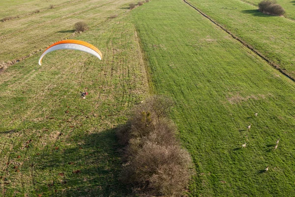 Paramotor voando sobre os campos — Fotografia de Stock