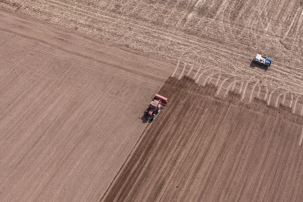 Traktor na poli sklizeň — Stock fotografie