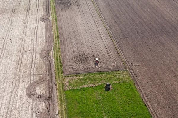 Урожай поля в Польщі — стокове фото