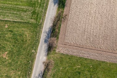 Hasat alanları Polonya