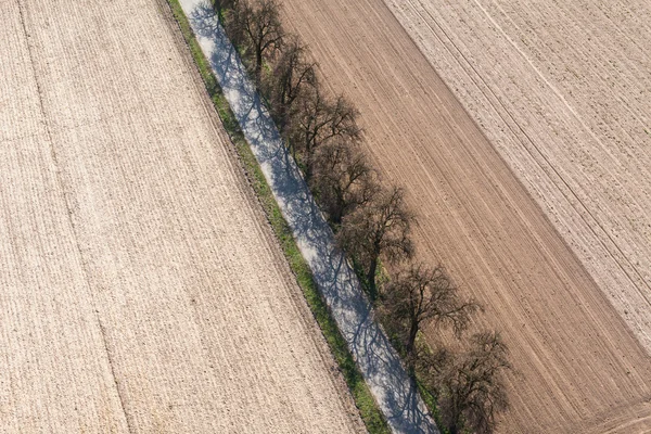 Erntefelder in Polen — Stockfoto