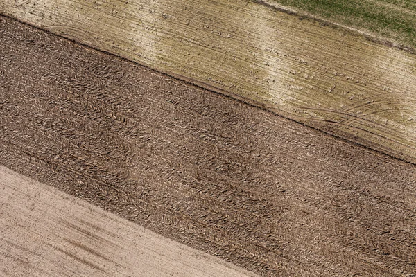 ポーランドの収穫フィールド — ストック写真