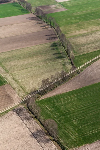 Campo de cosecha en Polonia — Foto de Stock