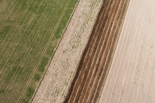 Поле для сбора урожая в Польше — стоковое фото