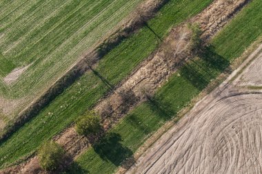 Traktör parçaları hasat alanında
