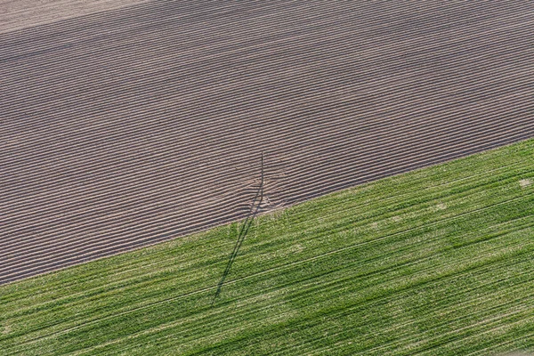 Traktor spår på fältet skörd — Stockfoto