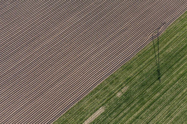 Campo de cosecha en Polonia — Foto de Stock