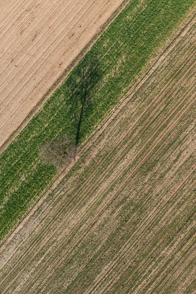 Campo de colheita na Polónia — Fotografia de Stock