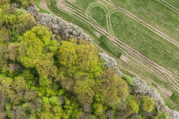 Stopy traktoru na poli sklizeň — Stock fotografie